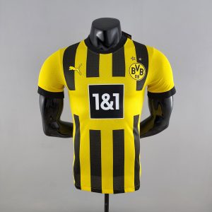Camiseta Borussia Dortmund Jugador 23/24