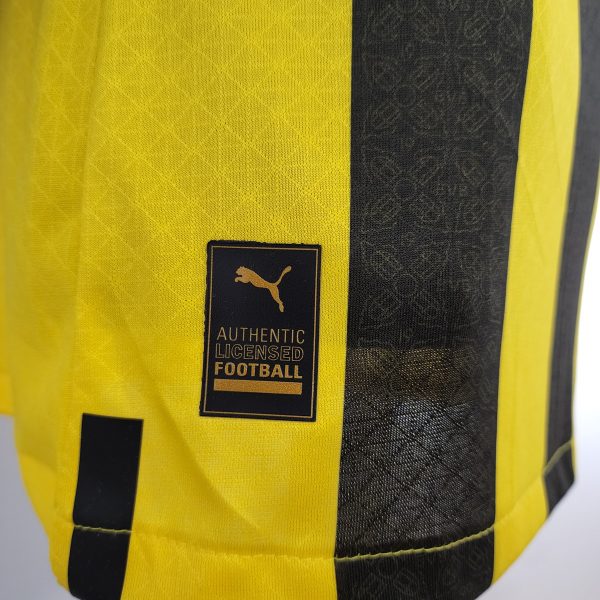 Camiseta Borussia Dortmund Jugador 23/24 - Imagen 6