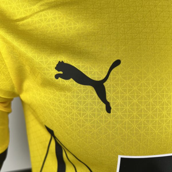Camiseta Borussia Dortmund Jugador 23/24 - Imagen 3