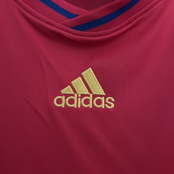 Camiseta España 2010 - Imagen 3