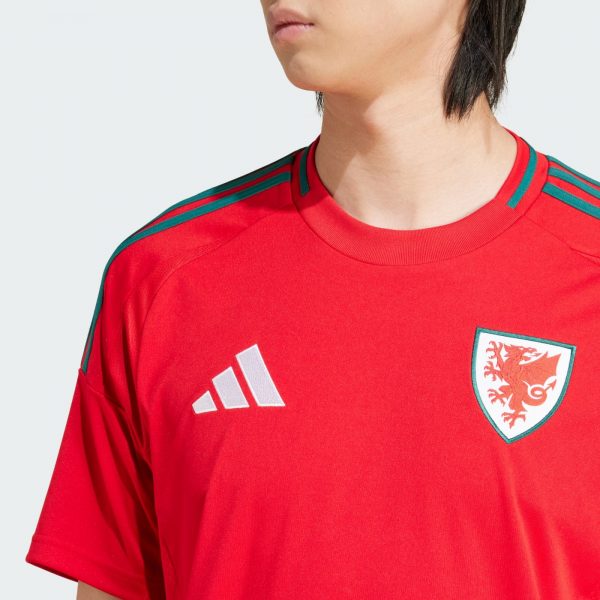 Camiseta Gales Eurocopa 2024 - Imagen 2