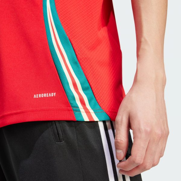Camiseta Gales Eurocopa 2024 - Imagen 3