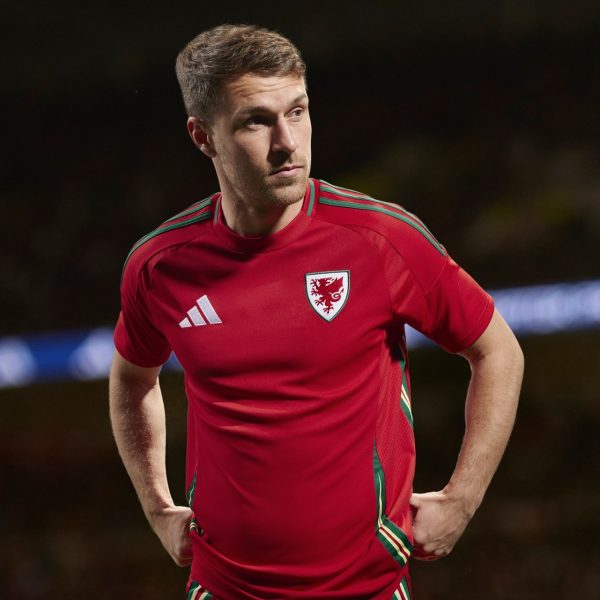 Camiseta Gales Eurocopa 2024 - Imagen 5
