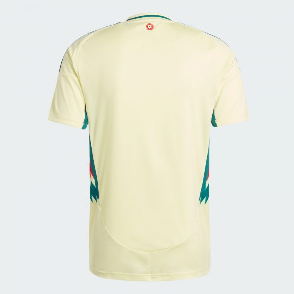 Camiseta Gales Eurocopa 2024 - Imagen 3