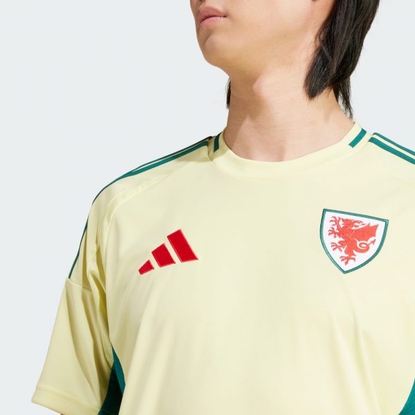 Camiseta Gales Eurocopa 2024 - Imagen 2