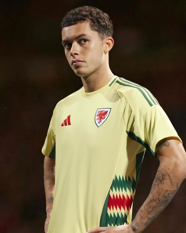 Camiseta Gales Eurocopa 2024 - Imagen 5