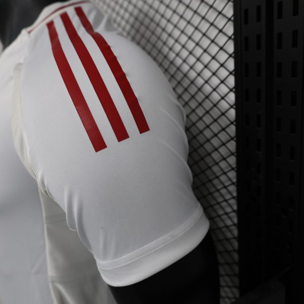 Camiseta JAPAN 2024 - Imagen 3