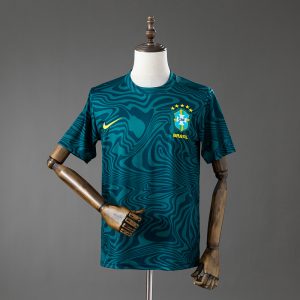 Camiseta Brasil especial